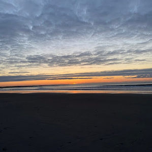 Meet your Posher, Cassidy